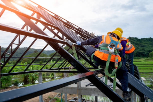 Roof Gutter Cleaning in Sibley, IA