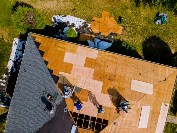 Best Commercial Roofing Services  in Sibley, IA